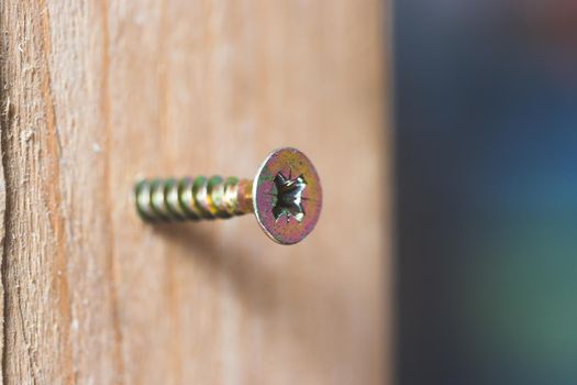 Macro closeup of screw in timber, outdoors