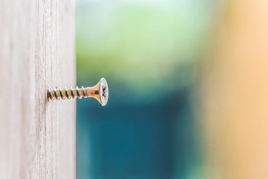 Macro closeup of screw in timber, outdoors