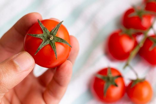 Hands holding cherries tomatoes