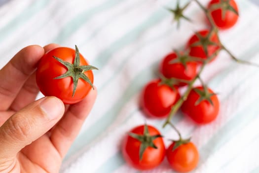 Hands holding cherries tomatoes
