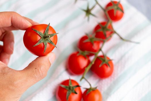 Hands holding cherries tomatoes