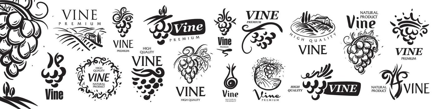 Vector set of hand drawn logos for wine.