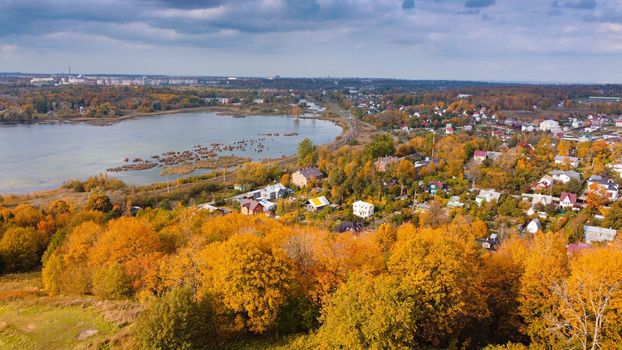 Autumn trees on top . Autumn landscape . Landscape from a drone. Photos from the air. Beautiful view. Orange trees. Nature