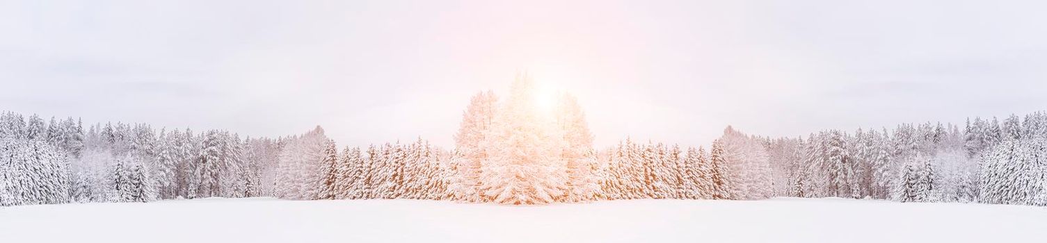 Winter landscape panorama of snow and sun . The sun peeks out from behind the trees. Nature. Snow valley. Winter screensaver. Copy space. article about winter tourism and recreation