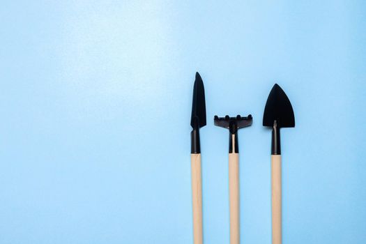 Garden shovels on a blue background . Gardening layout. Spring planting. The care of plants. Work in the ground. blue background . Copy space.