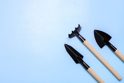 Garden shovels on a blue background . Gardening layout. Spring planting. The care of plants. Work in the ground. blue background . Copy space.