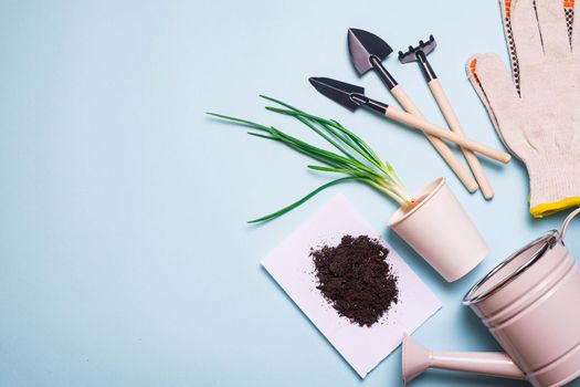 Garden shovels on a blue background . Gardening layout. Spring planting. The care of plants. Work in the ground. blue background . Copy space. Garden gloves and earth.