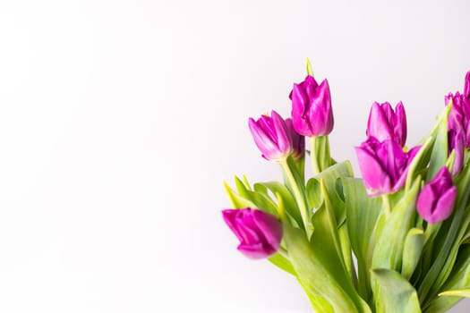 A bouquet of lilac tulips in a vase . Bouquet of tulips. Flowers in a vase. A greeting card. Delicate flowers. Valentine's day. March 8. Mother's Day. Copy space