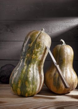 In the cool basement, ripe pumpkins are stored on a wooden shelf. Front view, close-up, copy space.