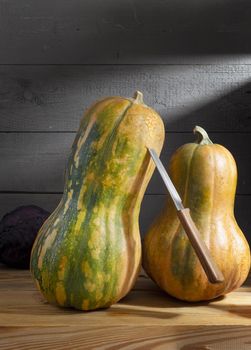 In the cool basement, ripe pumpkins are stored on a wooden shelf. Front view, close-up, copy space.