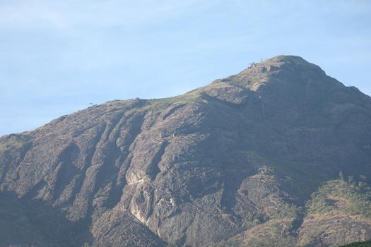 Tea Plantation foarm Landscape Munnar Kerala India