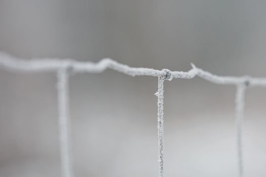 Frost on the iron grid macro. Beautiful winter concept background. Close-up of a frozen iron fence.