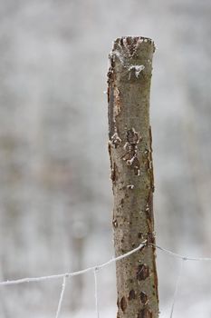 Detail of a frozen iron fence on wooden pole during the winter in Czech republic.