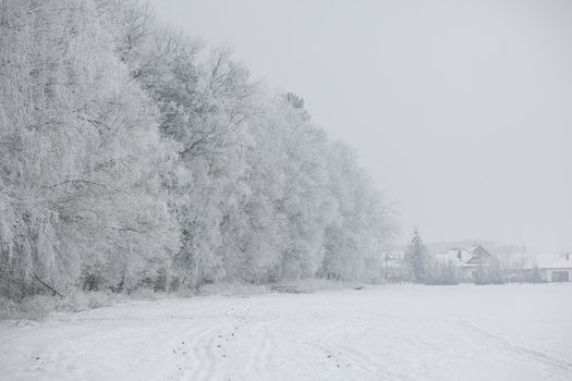 Gorgeous winter landscape with snow and fog, Pardubice, Czech republic.