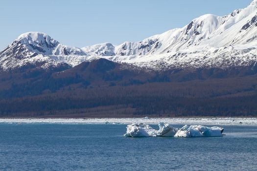 Iceberg Floating in Sea Close to Hubbard Glacier in Alaska.