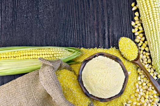 Flour corn in bowl and grits in spoon, cobs and grains maize, a burlap sack on the background of wooden boards