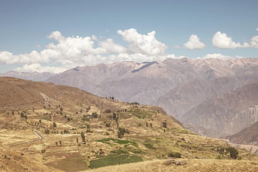 View over the terraces and Colca canyon, Arequipa, Peru