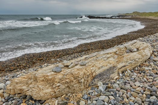 Seaside and landscape near town of Skagen in Denmark.