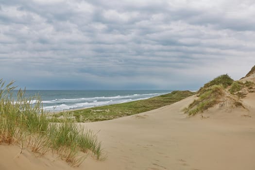 Seaside and landscape near town of Skagen in Denmark.