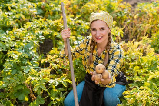 Famer woman presenting her potatoes during harvest looking into camera