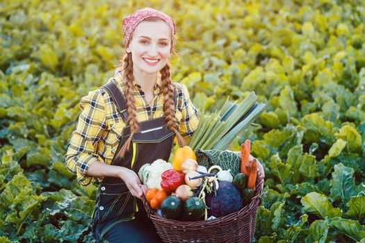 Farmer woman offering basket of healthy organic vegetables sitting in a field