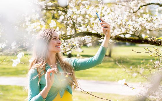 Young woman taking selfie with her phone in park at tree blossom time