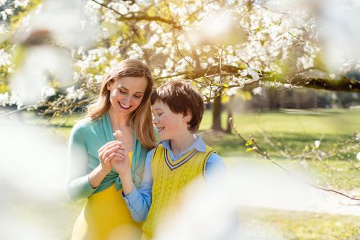 Son giving his mom flowers for mothers day under a blossoming tree in spring