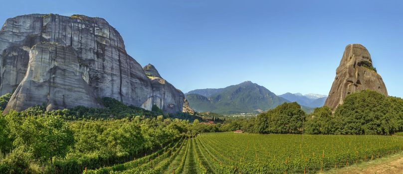 Panoramic view of the vineyard in Meteora, Greece