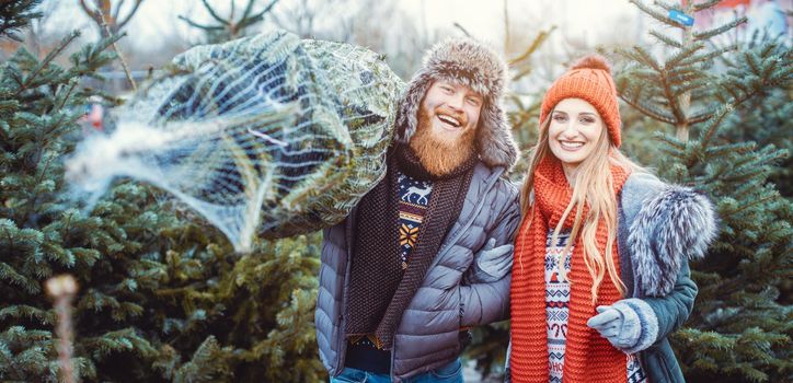Man and woman having bought a Christmas Tree carrying it home