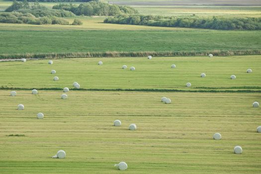 Beautiful countryside landscape with fields and small river near Kiel - Schleswig-Holstein - Germany.