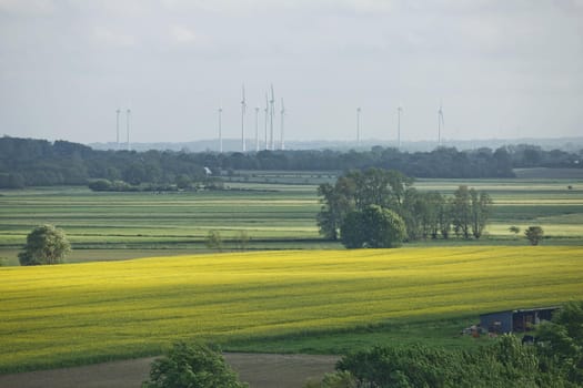 Beautiful countryside landscape with fields and windmills near Kiel - Schleswig-Holstein - Germany.