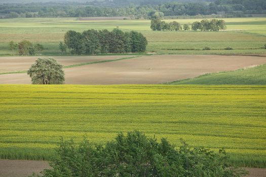 Beautiful countryside landscape with fields and small river near Kiel - Schleswig-Holstein - Germany.