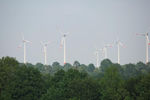 Windmills power plant and turbines generating renewable green energy near to Kiel canal in Germany.