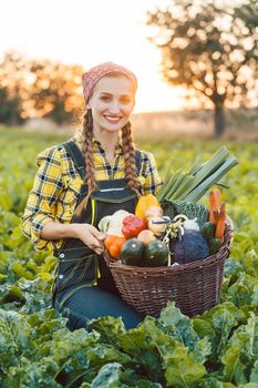 Farmer woman offering basket of healthy organic vegetables sitting in a field