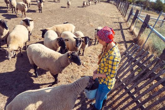 Famer woman with her flock of sheep around her