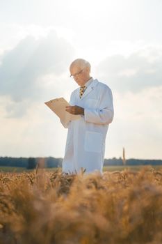Agricultural scientist tracking data for new breed of grain on a clipboard