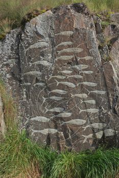 Images of whales chiseled into rocks, Qaqortoq Greenland.