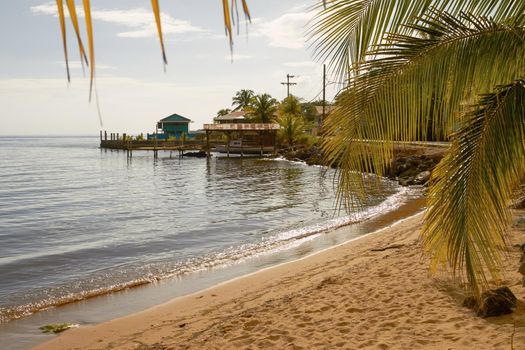 Relaxing view of a beach and palms at island of Roatan in Honduras.