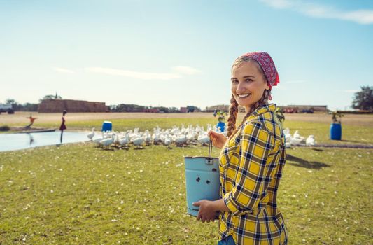 Farmer woman feeding the geese on a meadow