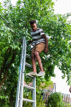 Boy climbing over the ladder near the tree in the backyard