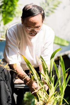 Close-up of senior man planting flowers in the garden