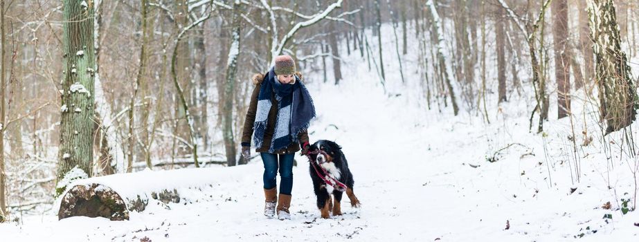 Woman with her dog hiking or walking in winter on a snow covered path