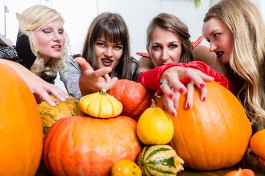 Three young and beautiful women wearing funny party costumes while acting as witches joining their malicious forces at Halloween