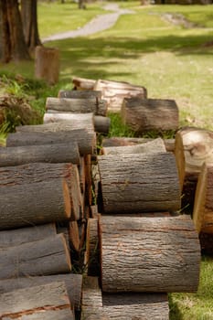 Pile of Wood Logs Ready for Winter.