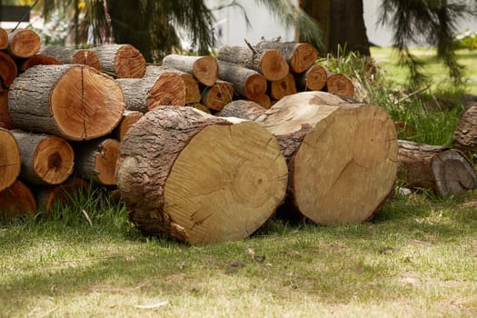 Pile of Wood Logs Ready for Winter.