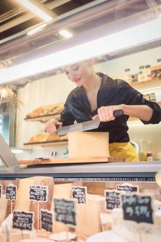 Young shop clerk in deli cutting cheese at the counter with a knife