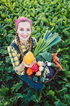 Farmer woman in a field offering colorful organic vegetables as healthy food