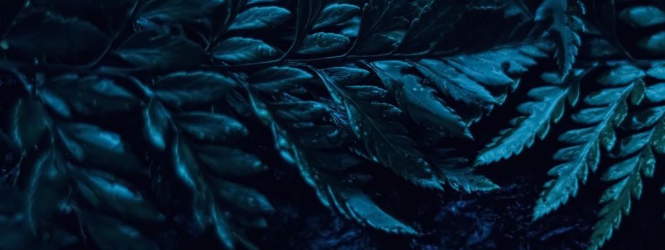 Blue plant leaves at night as surreal botanical background, minimal design backdrop