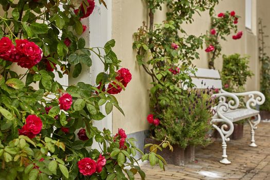 House entrance decorated with flowers. Rustic style concept. Beautiful design elements of unknown building in Vlissengen Netherlands.