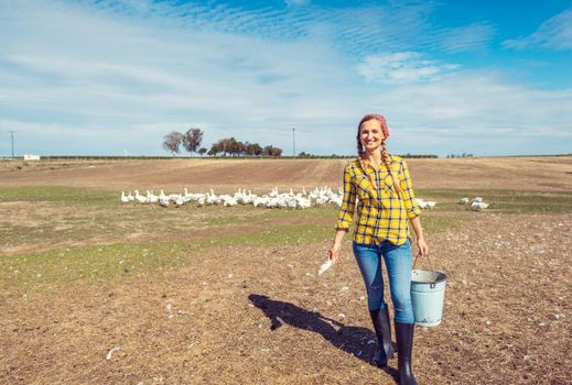 Farmer with her geese on a poultry farm in the country